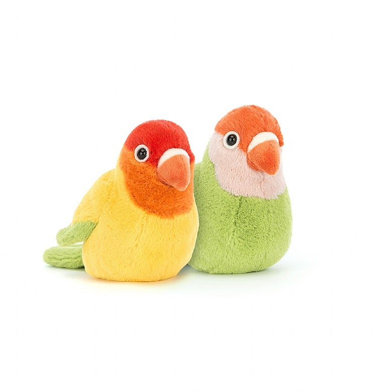 A Pair of Lovely Lovebirds - Zinnias Gift Boutique