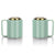 Ceramic Mug jade - Zinnias Gift Boutique