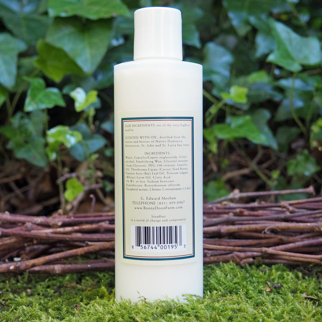 Bay Rhum 8oz Lotion - Zinnias Gift Boutique