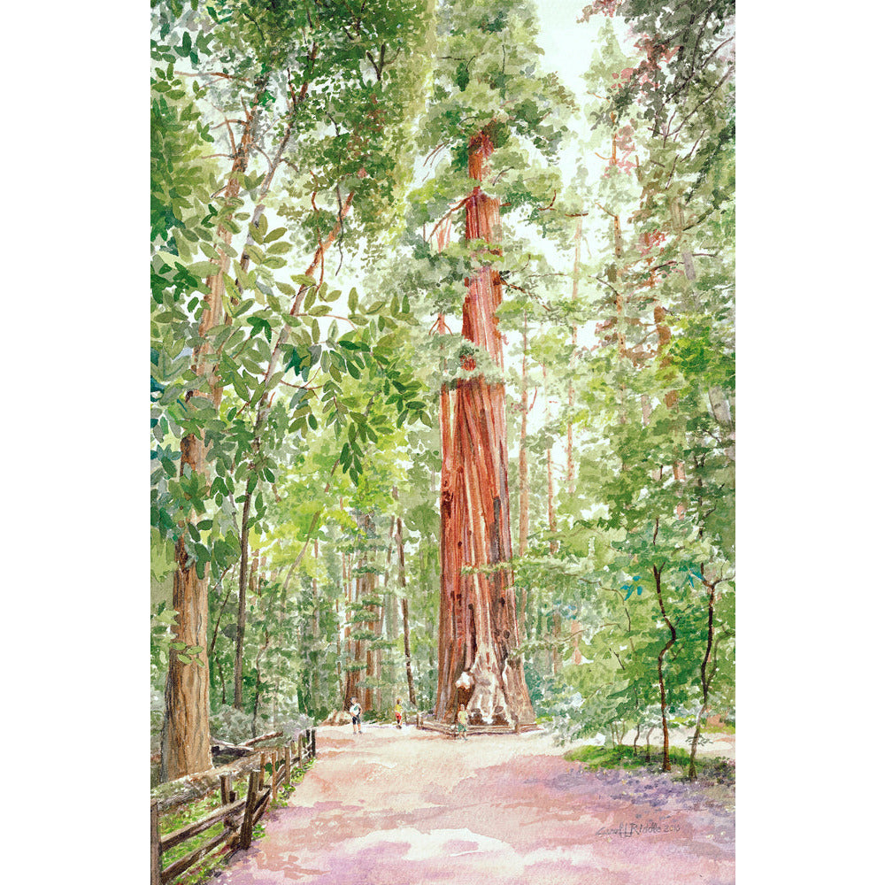 Redwood Loop 7 - Zinnias Gift Boutique