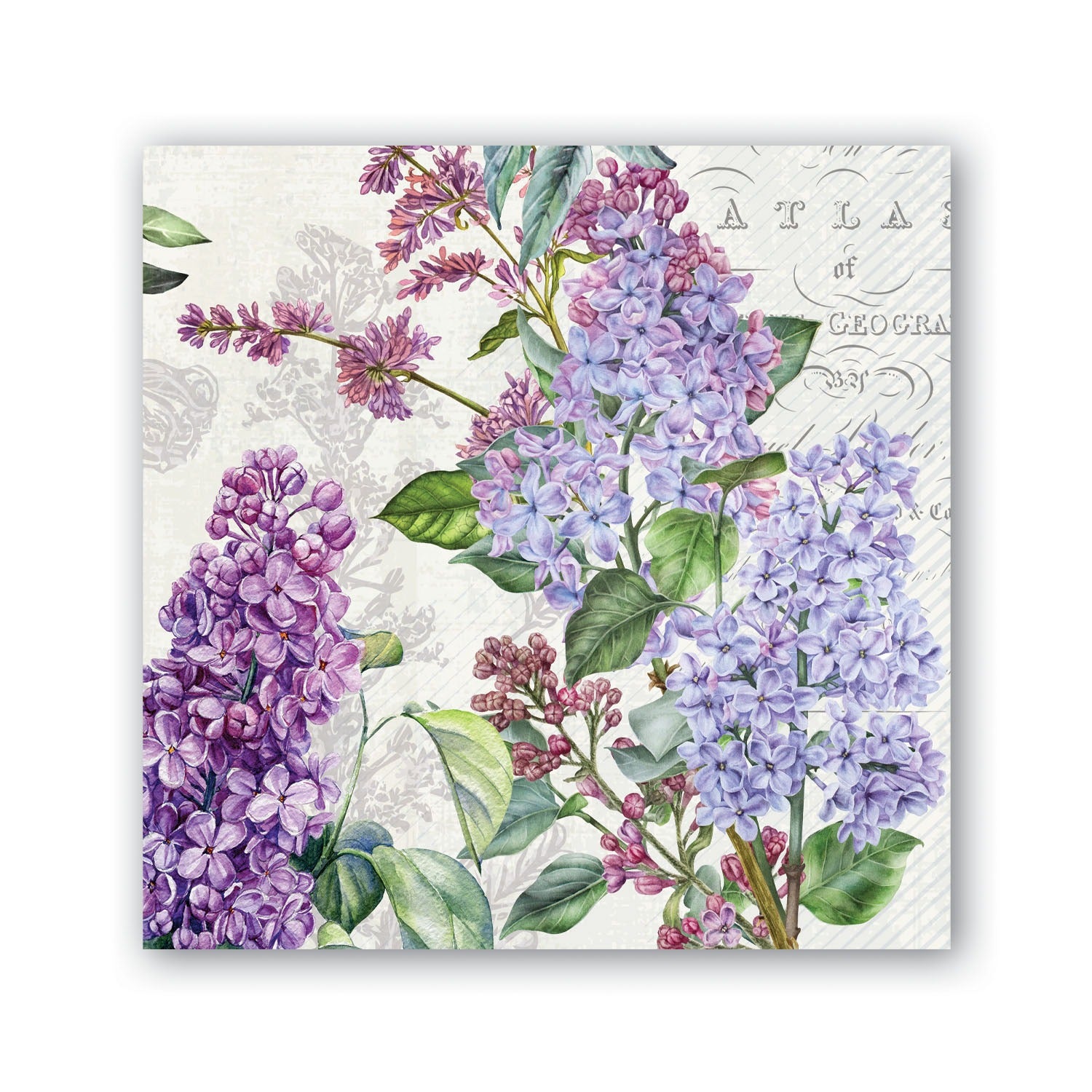 French Lilac cocktail Napkin - Zinnias Gift Boutique
