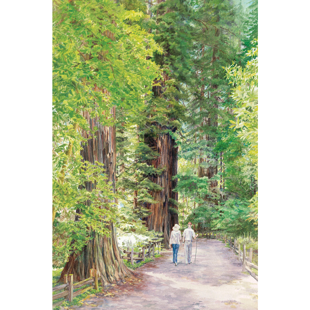 Stroll through Redwoods - Zinnias Gift Boutique