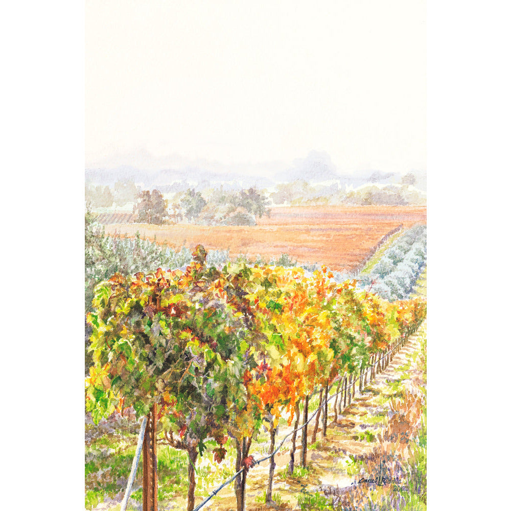 Vinyard Morning - Zinnias Gift Boutique