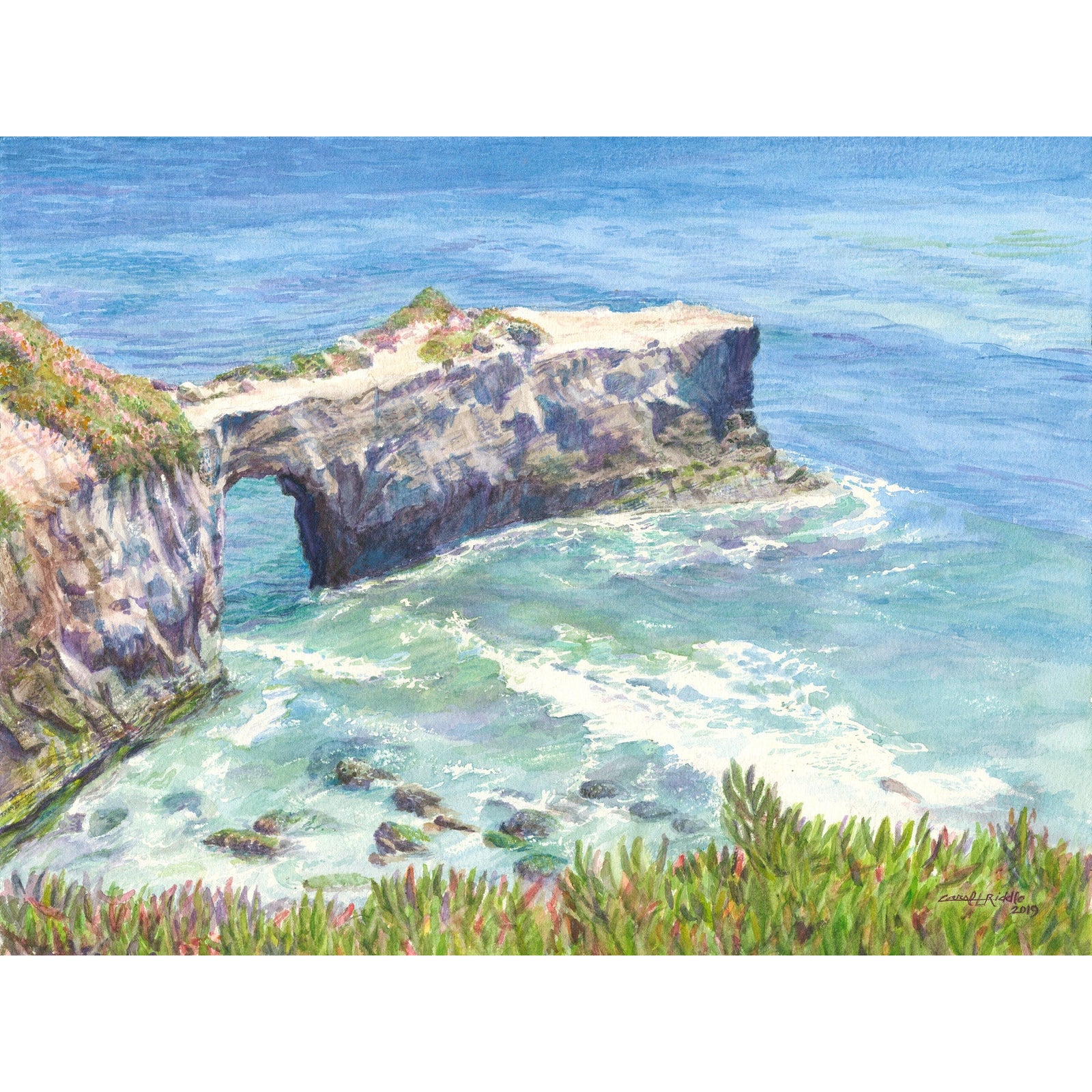 West Cliff Arch - Zinnias Gift Boutique