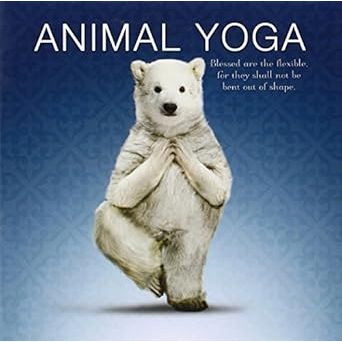 Adult book titled Animal Yoga by Book Publisher, featuring a cover illustration related to yoga and animals.
