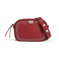Perry Mini Camera Bag Lipstick - Zinnias Gift Boutique