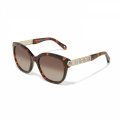 Intrigue Tortoise Sunglasses - Zinnias Gift Boutique
