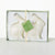 White Bunny Candle Set of 2 - Zinnias Gift Boutique