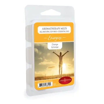2.5 oz Wax Melt - Zinnias Gift Boutique