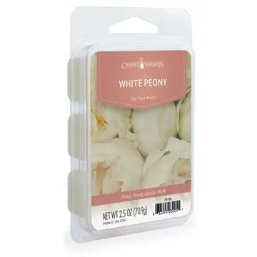 2.5 oz Wax Melt - Zinnias Gift Boutique