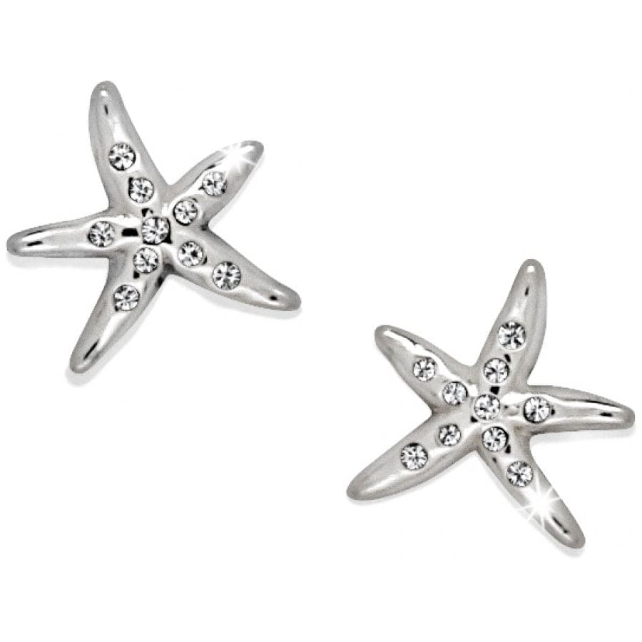 Cape Star Mini Post Earrings - Zinnias Gift Boutique