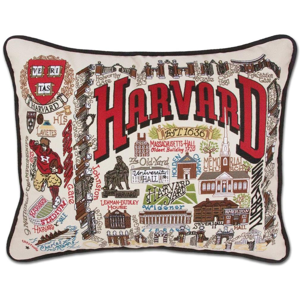 Hand-embroidered Geography Pillow - Zinnias Gift Boutique
