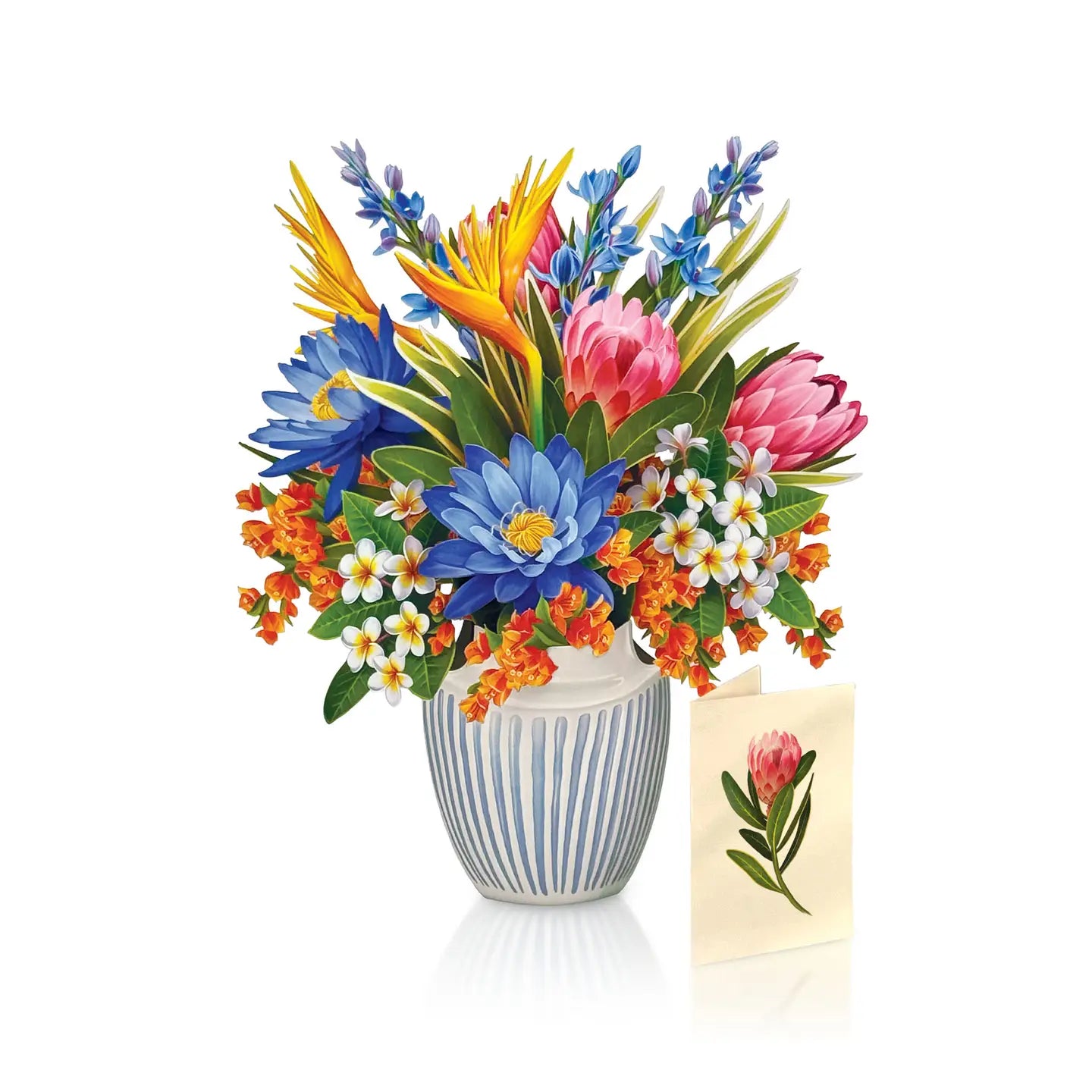 Tropical Paradise - Zinnias Gift Boutique