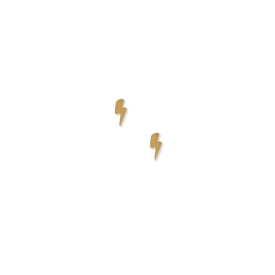 Screwback Stud Earring - Zinnias Gift Boutique