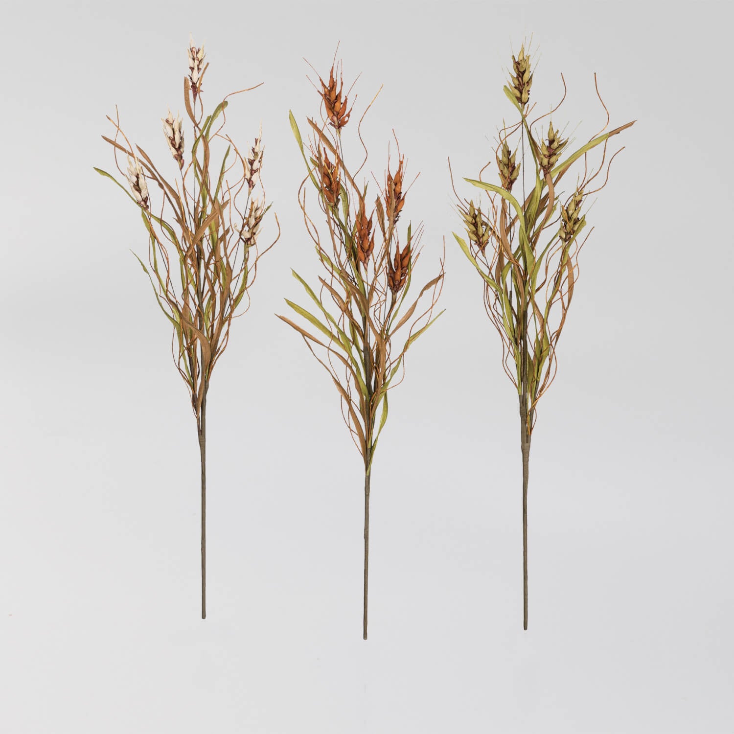 Wheat Grass Spray - Zinnias Gift Boutique