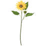 Sunflower stem - Zinnias Gift Boutique