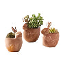 Terracotta Bunny Planter - Zinnias Gift Boutique
