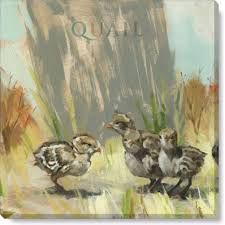 California Quail  babies  Giclee Wall Art mini - Zinnias Gift Boutique