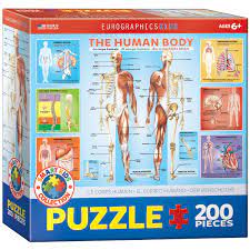 The Human Body 200PC Puzzle Eurographics - Zinnias Gift Boutique