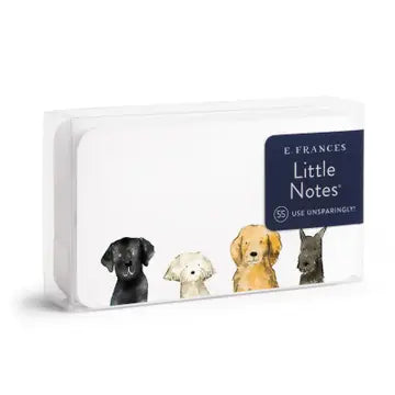 Assorted patterned Little Notes by E Frances Paper featuring colorful, whimsical designs on small paper notes.