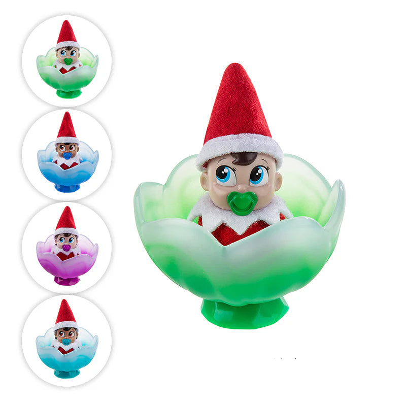 Frost Pips Mini Bloom - Zinnias Gift Boutique