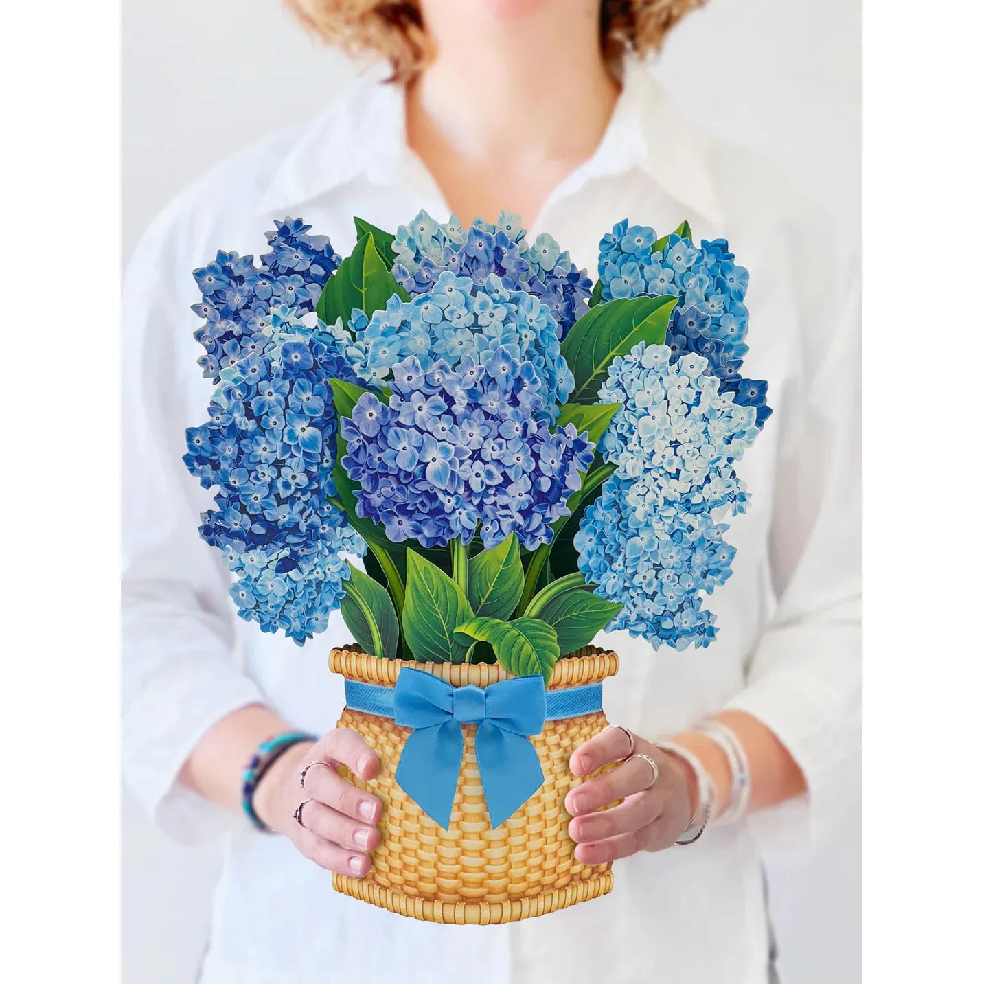 Nantucket Hydrangeas - Zinnias Gift Boutique