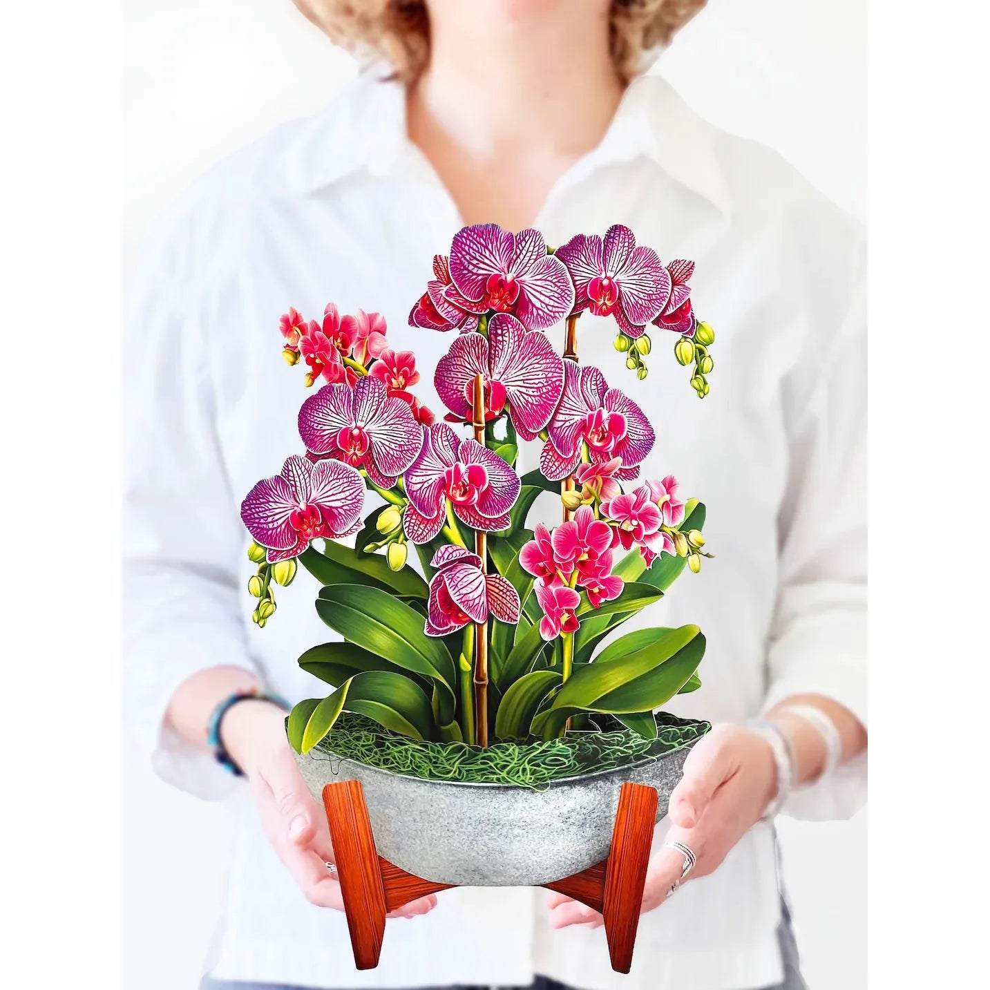 Orchid Oasis - Zinnias Gift Boutique