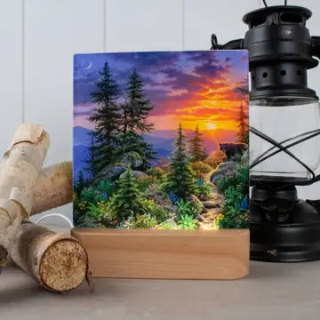 LED Nightlight - Zinnias Gift Boutique