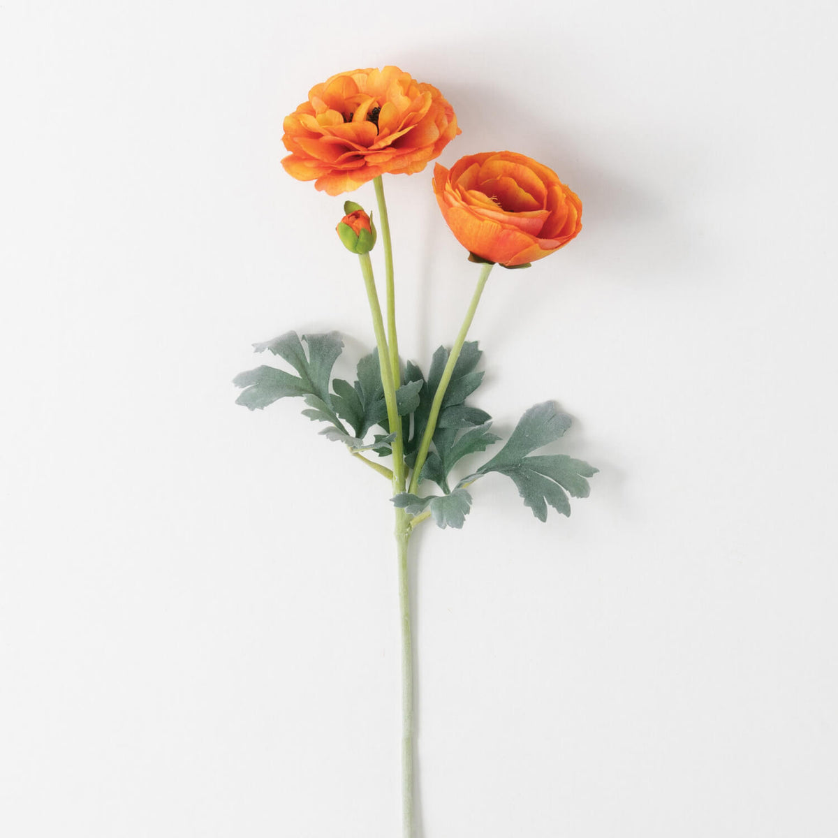 RANUNCULUS STEM Orange - Zinnias Gift Boutique