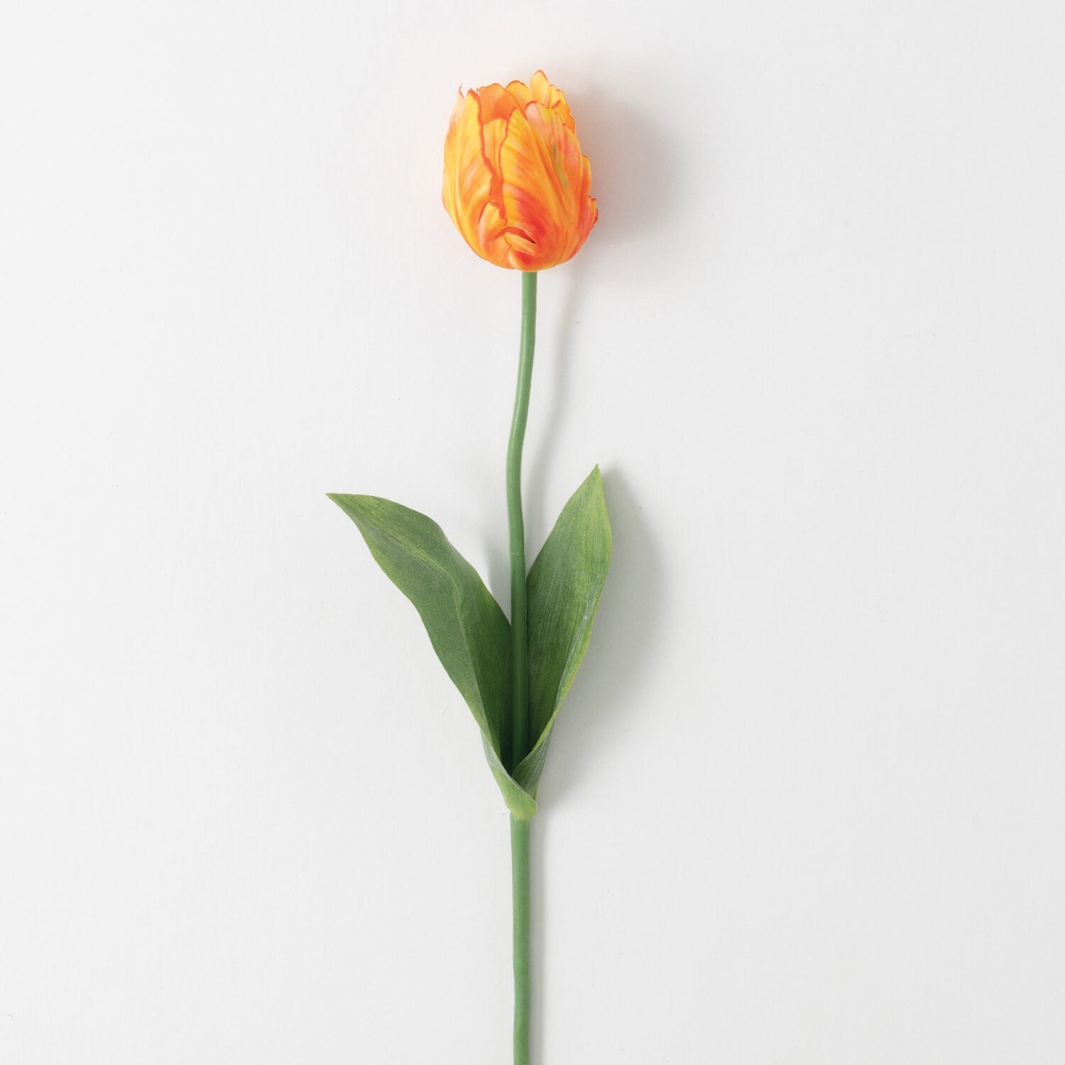 TULIP STEM Orange Ruffle - Zinnias Gift Boutique
