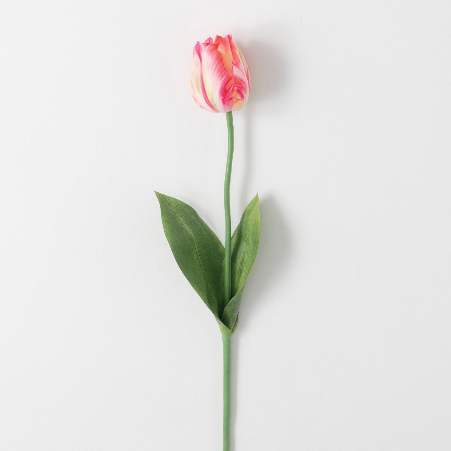 TULIP STEM White Pink Multi Ruffle - Zinnias Gift Boutique