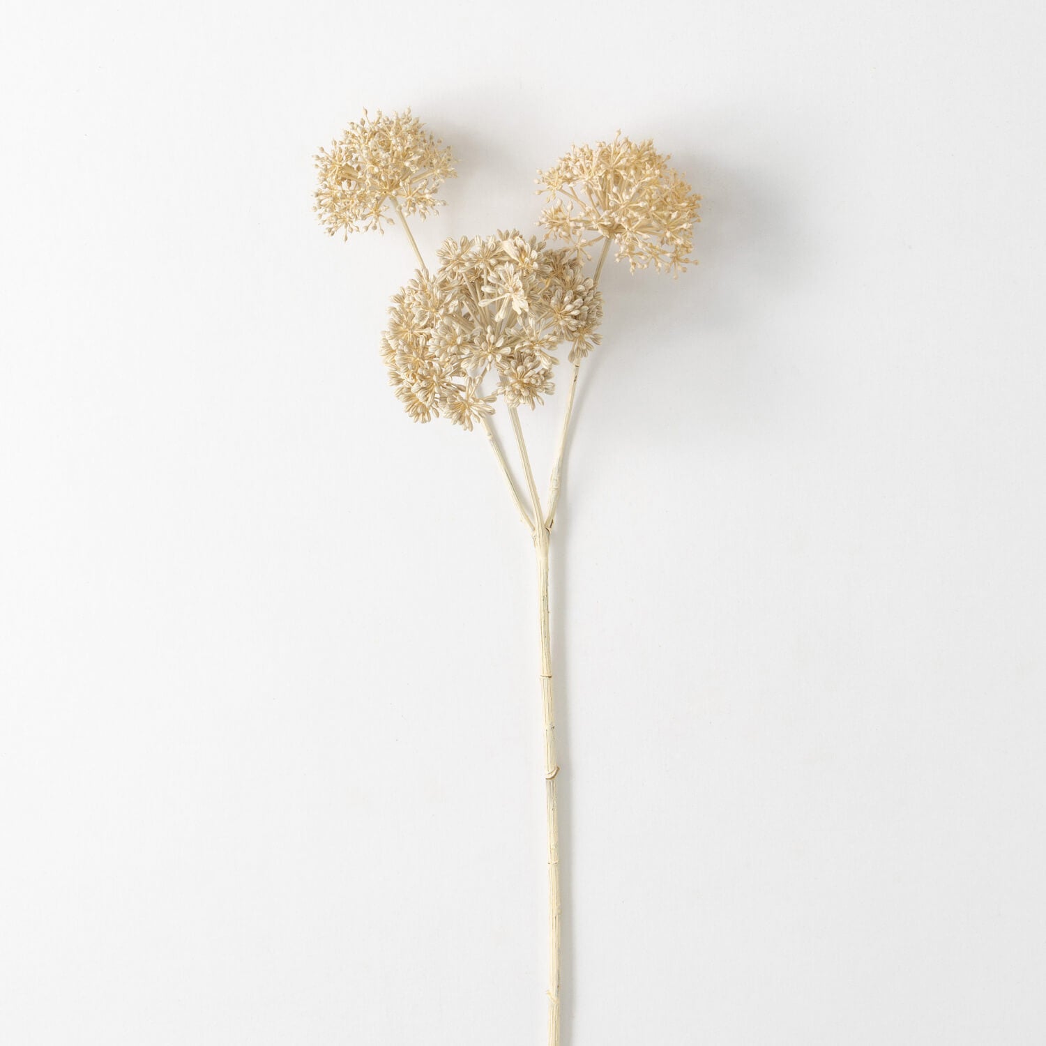 FAUX DRIED CREAM SEEDPOD SPRAY - Zinnias Gift Boutique