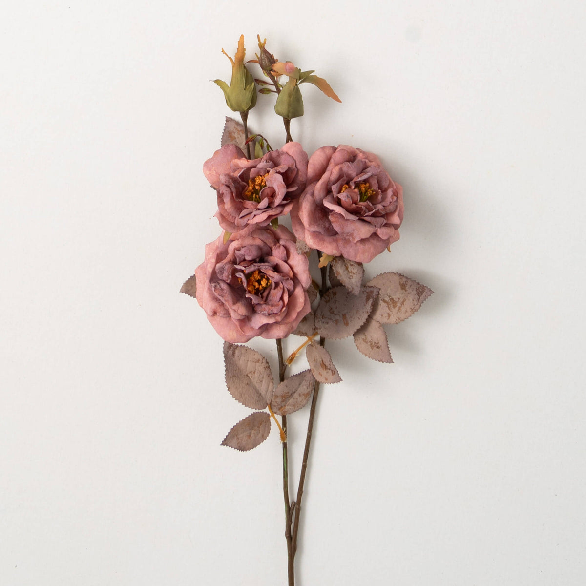 Rose Stem Antique - Zinnias Gift Boutique