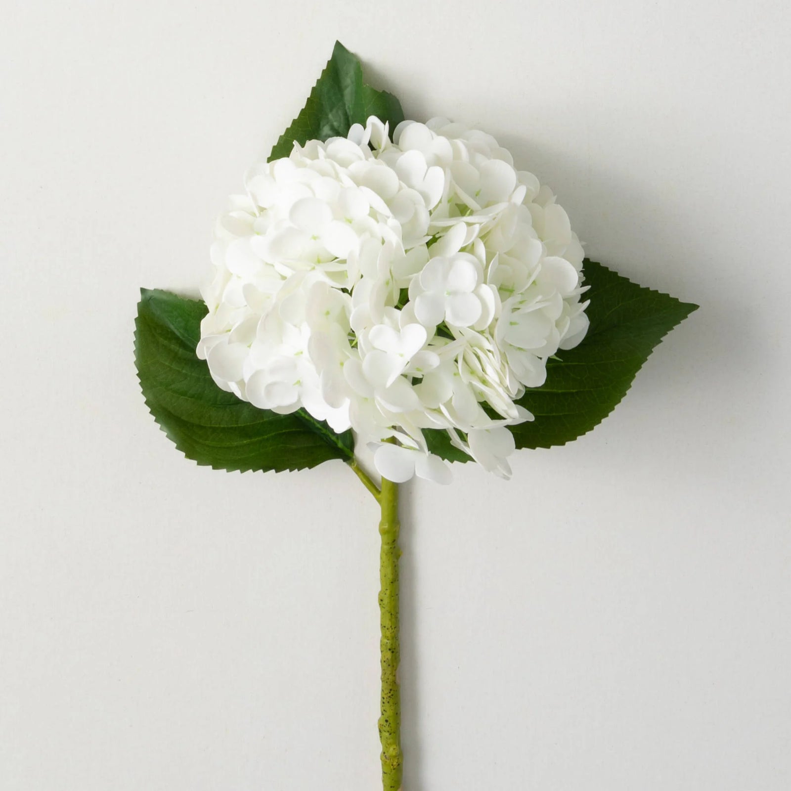FRESHCUT WHITE HYDRANGEA SPRAY - Zinnias Gift Boutique