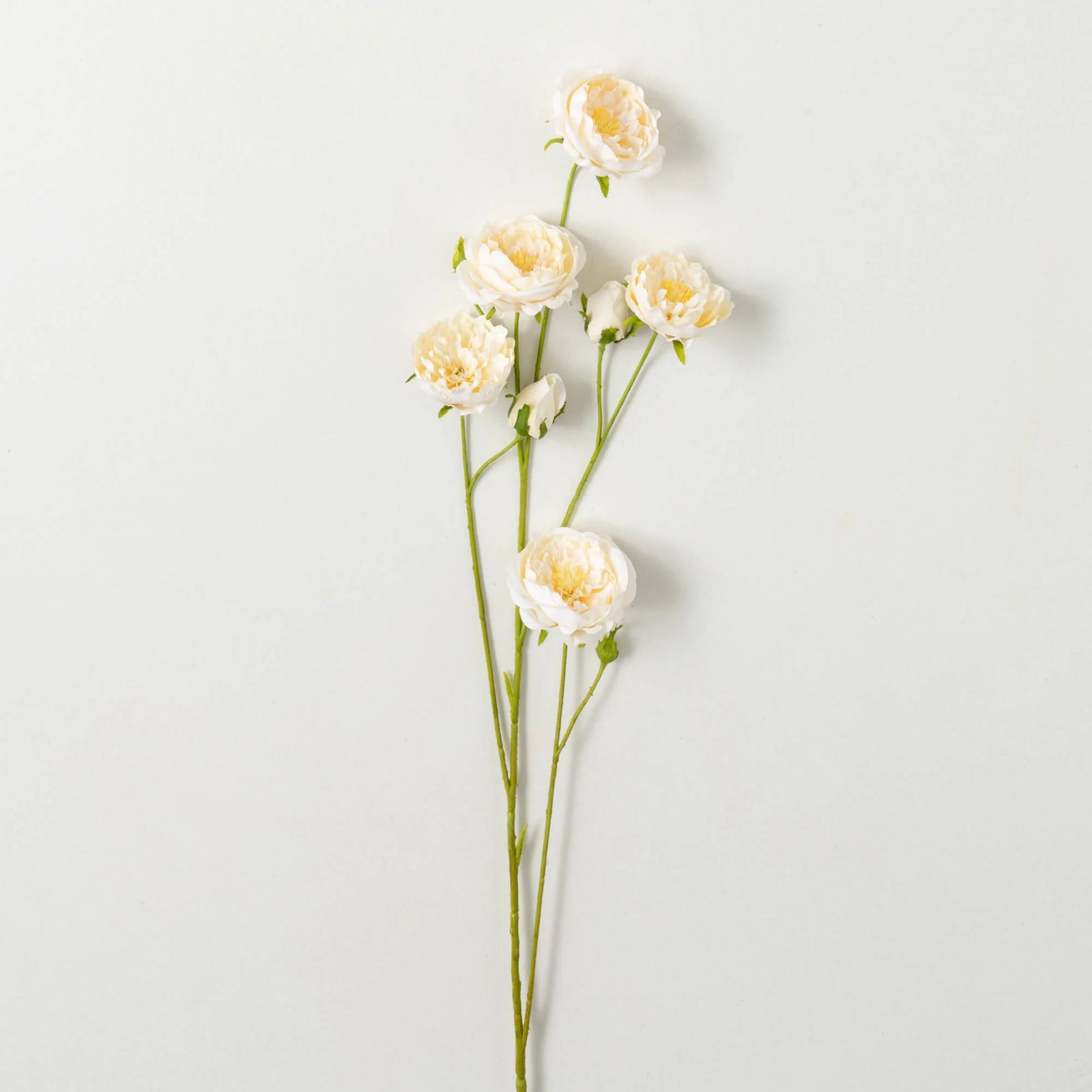 IVORY ROSE SPRAY - Zinnias Gift Boutique