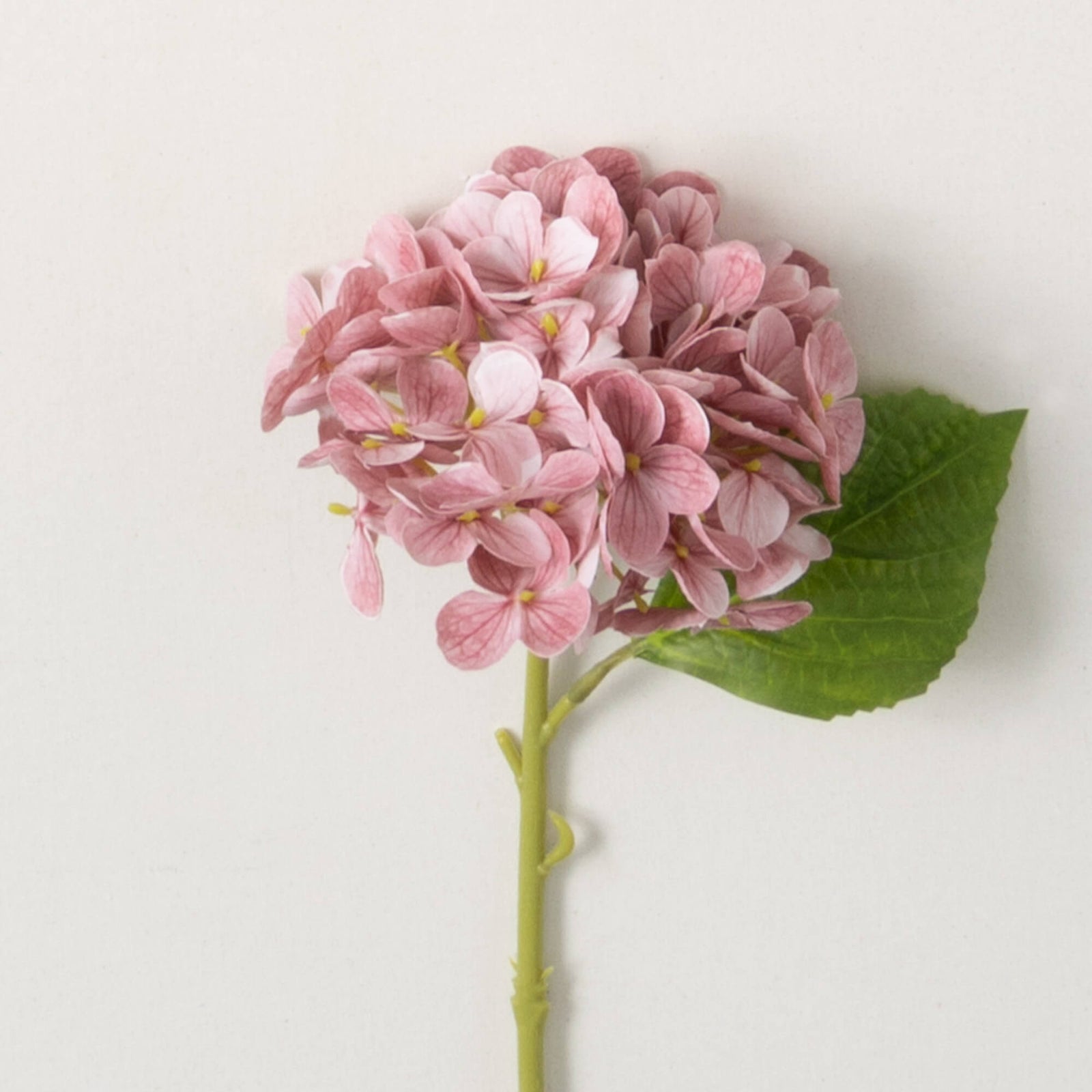SHORT STEM HYDRANGEA - Zinnias Gift Boutique