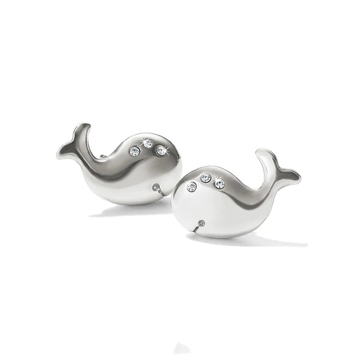 Humphrey The Whale Mini Post Earrings - Zinnias Gift Boutique