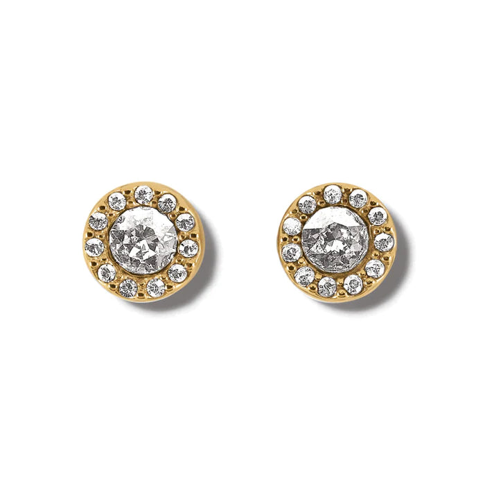 Illumina Solitaire Post Earrings Gold - Zinnias Gift Boutique