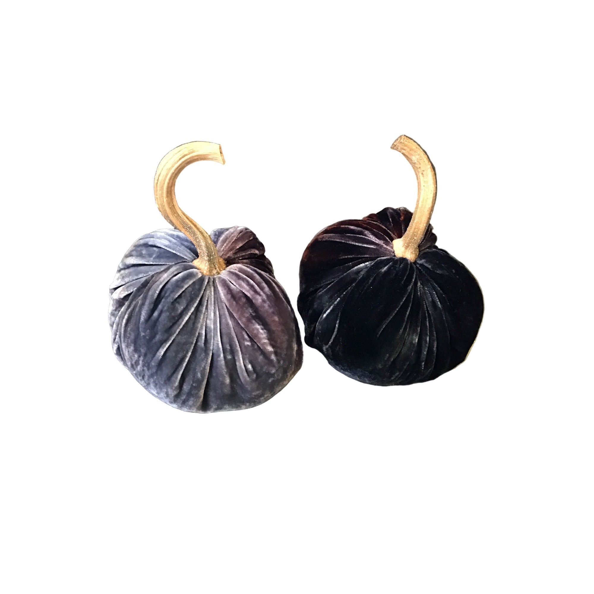 Velvet Posh Pumpkins 2025 - Zinnias Gift Boutique