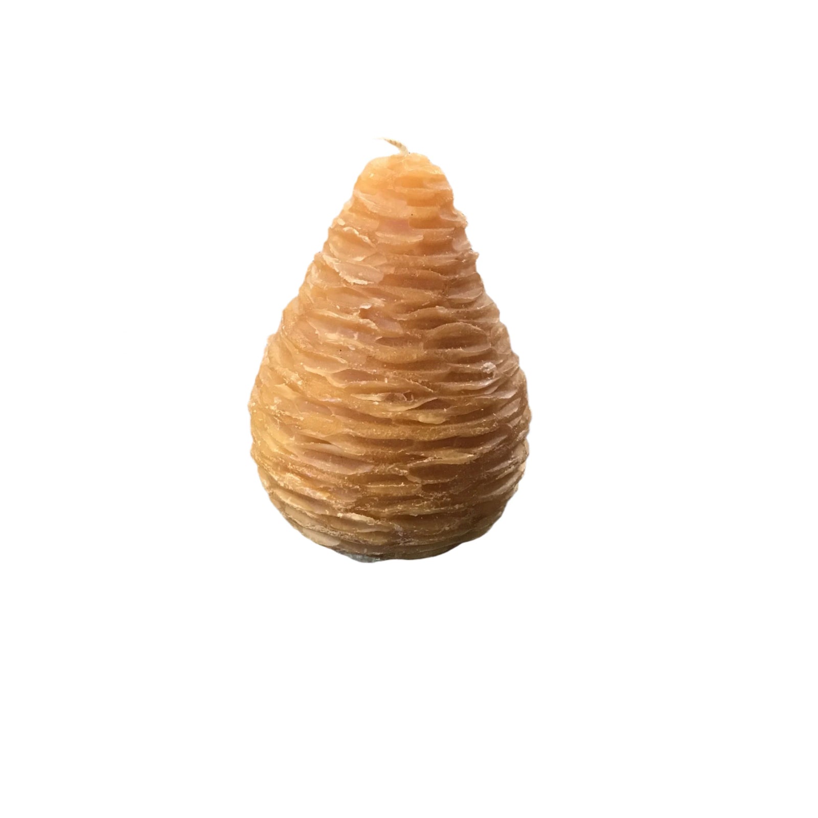 Pinecone Candle 4" - Zinnias Gift Boutique