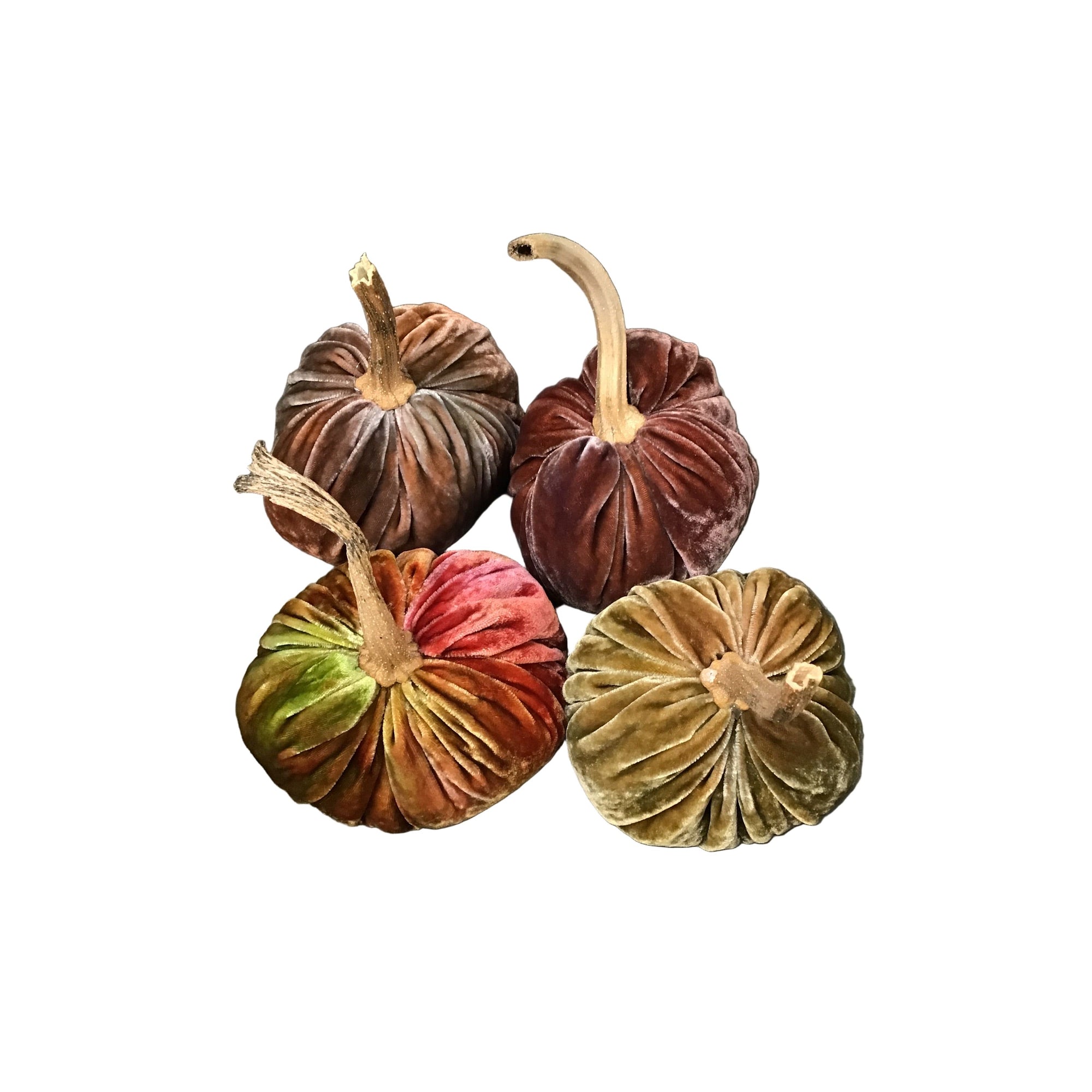 Velvet Posh Pumpkins 2025 - Zinnias Gift Boutique