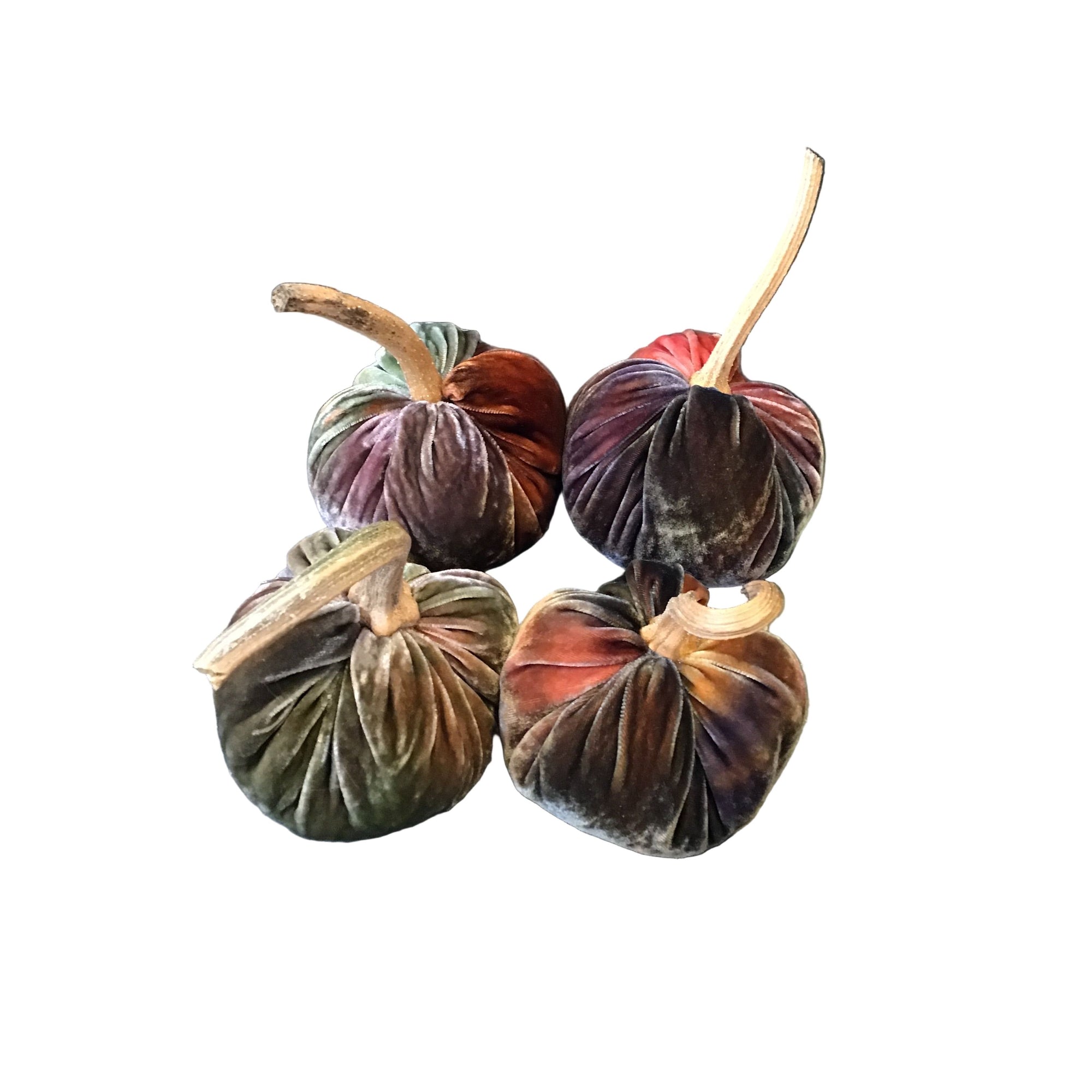 Velvet Posh Pumpkins 2025 - Zinnias Gift Boutique