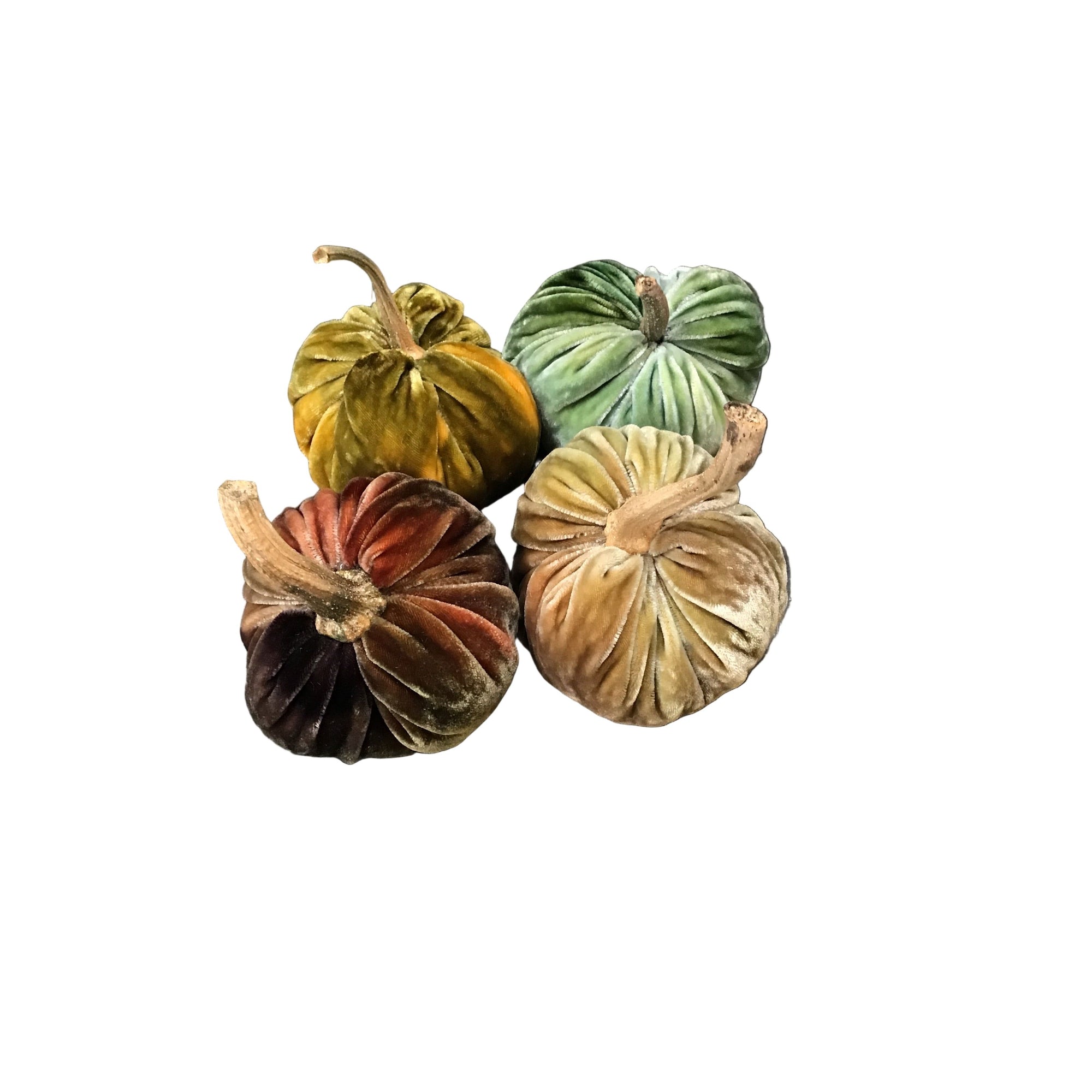 Velvet Posh Pumpkins 2025 - Zinnias Gift Boutique