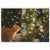 Holiday Boxed Cards Cat