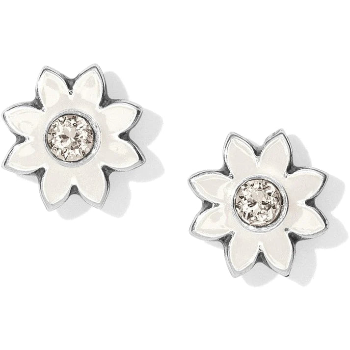 Jasmine Mini Post Earring - Zinnias Gift Boutique