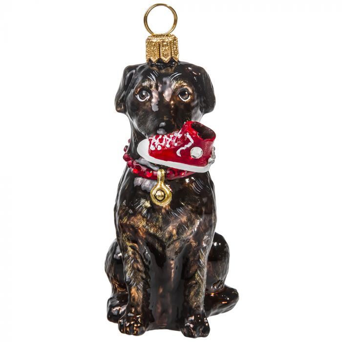 Chocolate Lab with High Top Sneaker - Zinnias Gift Boutique