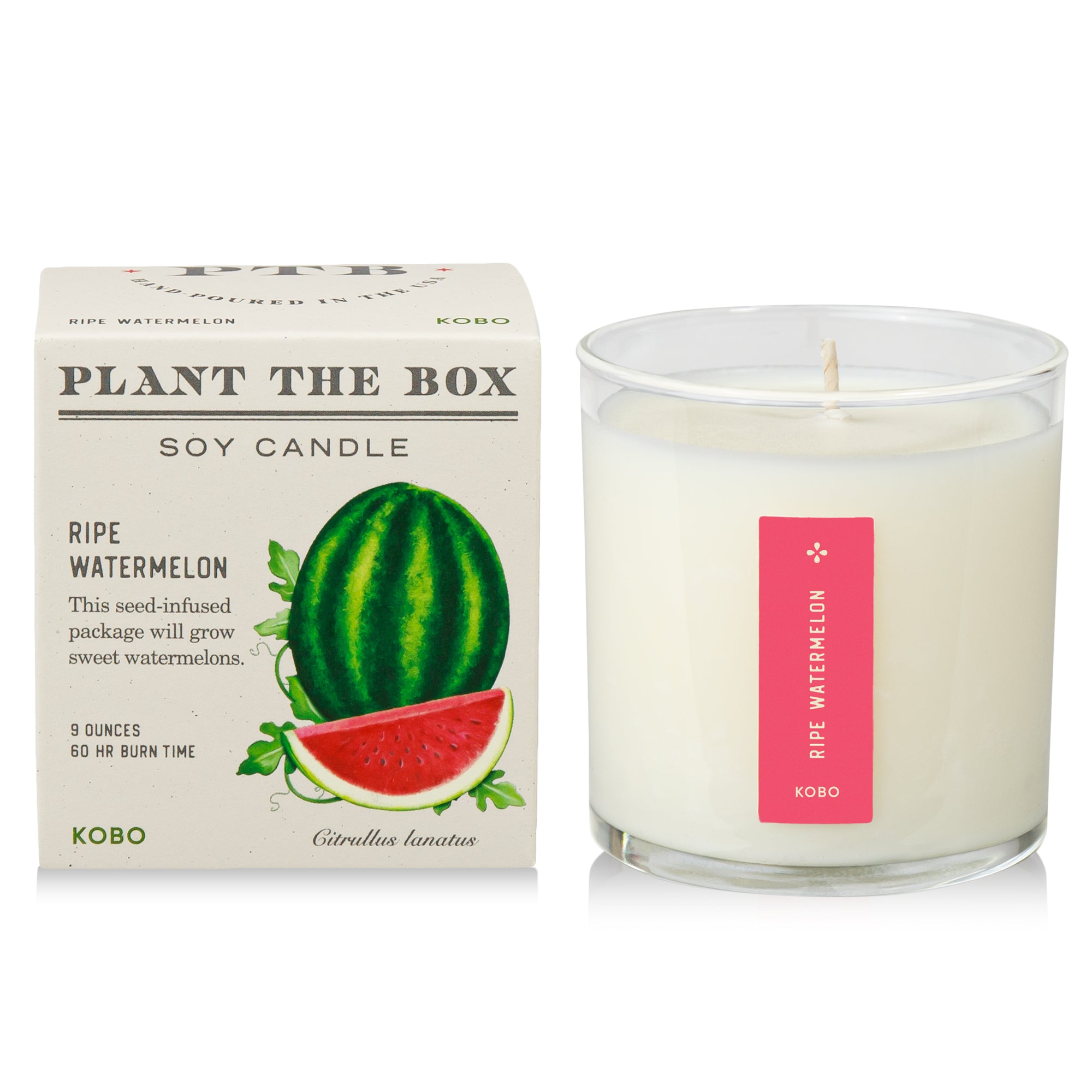 Plant the Box Home Fragrance - Zinnias Gift Boutique