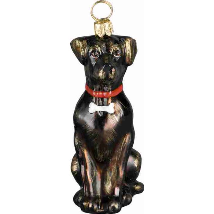 Chocolate Lab Dog Bone Collar - Zinnias Gift Boutique