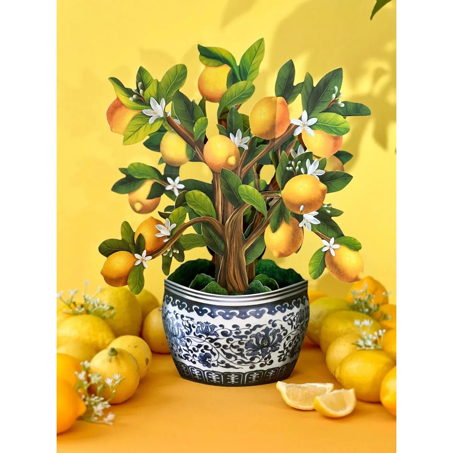 Lemon Blossom Tree - Zinnias Gift Boutique