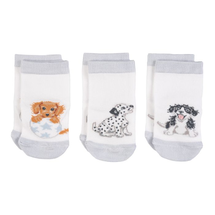 6 month baby best sale socks